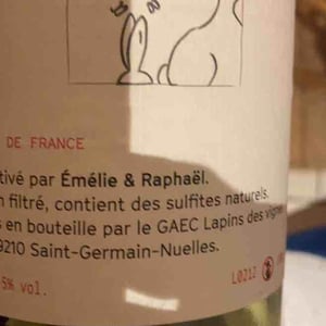Enculés Lapins - Lapins Des Vignes - raphael-beysang-emelie-hurtubise -2021