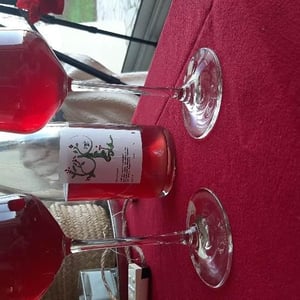 Enculés - Lapins Des Vignes - raphael-beysang-emelie-hurtubise