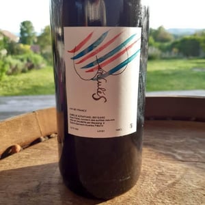 Enculés - Lapins Des Vignes - raphael-beysang-emelie-hurtubise