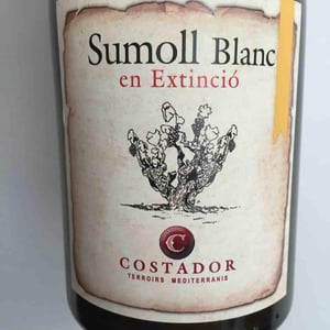 Sumoll Blanc en Extinció - Costador Terroirs Mediterranis - Joan Franquet 