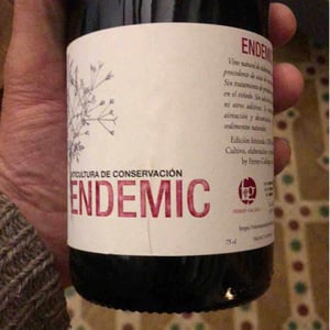 Endemic - Endemic - miguel-angel-pablo-raul-ferrer-gallego -2017