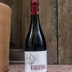 Endemic - Endemic - miguel-angel-pablo-raul-ferrer-gallego -2017