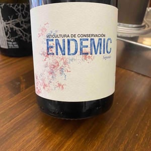 Endemic - Endemic - Miguel Angel, Pablo & Raúl Ferrer-Gallego -2017