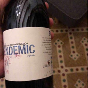 Endemic Segundo - Endemic - miguel-angel-pablo-raul-ferrer-gallego -2018