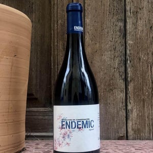 Endemic Segundo - Endemic - miguel-angel-pablo-raul-ferrer-gallego -2018