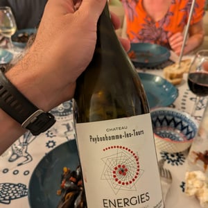 Energies - Château Peybonhomme Les Tours - Vignobles Hubert - Famille Hubert 