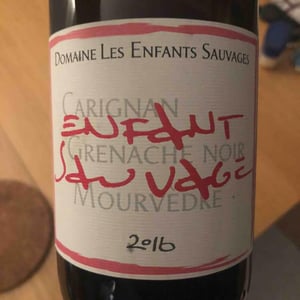 Enfant Sauvage 2016