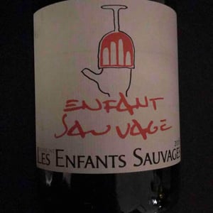 Enfant Sauvage - Les Enfants Sauvages - nikolaus-caroline-bantlin