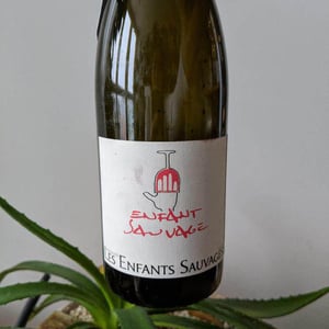 Enfant Sauvage - Les Enfants Sauvages - nikolaus-caroline-bantlin