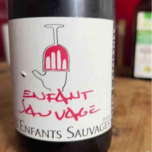 Enfant Sauvage - Les Enfants Sauvages - Nikolaus & Caroline Bantlin 