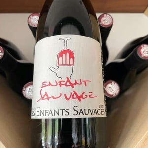 Enfant Sauvage - Les Enfants Sauvages - nikolaus-caroline-bantlin