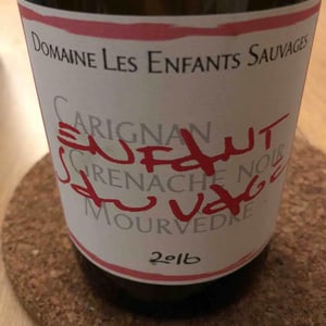 Enfant Sauvage