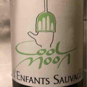 Enfant Sauvage - Les Enfants Sauvages - Nikolaus & Caroline Bantlin 