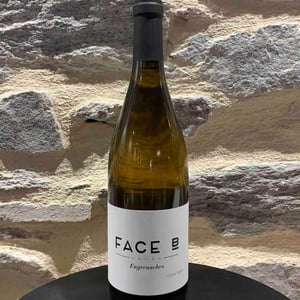 Engrenaches - Face B - severin-barioz-mathilde-barioz-ceccon