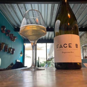 Face B - Séverin Barioz & Mathilde Barioz - Ceccon - Engrenaches