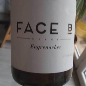 Engrenaches - Face B - Séverin Barioz & Mathilde Barioz - Ceccon 