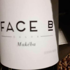Engrenaches - Face B - Séverin Barioz & Mathilde Barioz - Ceccon 