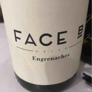 Engrenaches - Face B - Séverin Barioz & Mathilde Barioz - Ceccon 