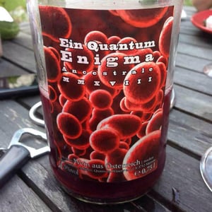 Enigma - Quantum Winery - Florian Schuhmann-Irschik 