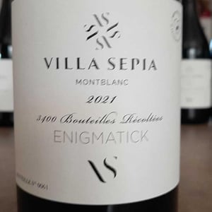 Enigmatick - Villa Sépia - catherine-frederic-albert -2018