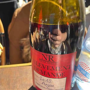 Le Clos des Treilles - Nicolas Reau - Enlèvement Demandé