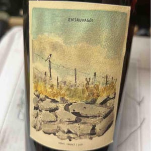 Ensauvagés - Henri Chauvet - henri-chauvet