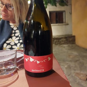 Entracte 2021 - Domaine Jaça - Lize Corbin et Damien Roucayrol -2021