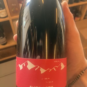 Entracte - Domaine Jaça - lize-corbin-et-damien-roucayrol -2021