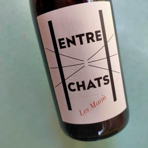 Entre Chats - Les Maoù - aurelie-vincent-garreta