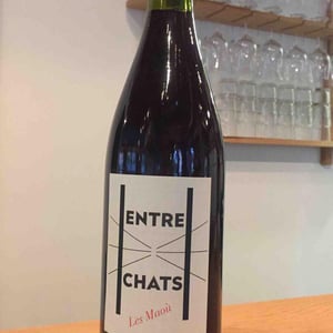 Entre Chats - Les Maoù - aurelie-vincent-garreta