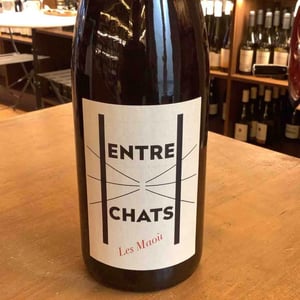 Entre Chats - Les Maoù - aurelie-vincent-garreta