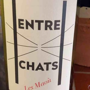 Entre Chats - Les Maoù - aurelie-vincent-garreta