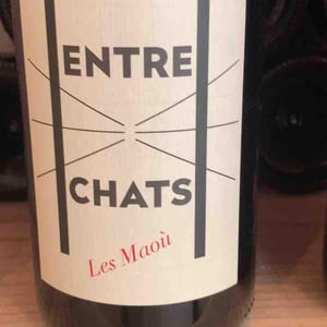 Entre Chats - Les Maoù - aurelie-vincent-garreta