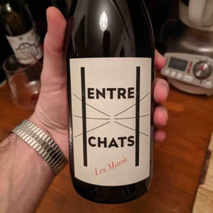 Les Maoù - Aurélie & Vincent Garreta - Entre Chats