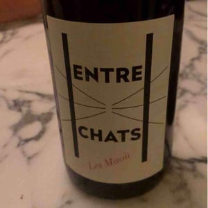 Entre Chats - Les Maoù - aurelie-vincent-garreta