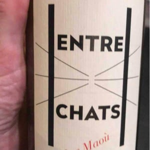 Les Maoù - Aurélie & Vincent Garreta - Entre Chats