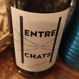 Les Maoù - Aurélie & Vincent Garreta - Entre Chats