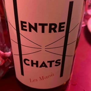 Les Maoù - Aurélie & Vincent Garreta - Entre Chats