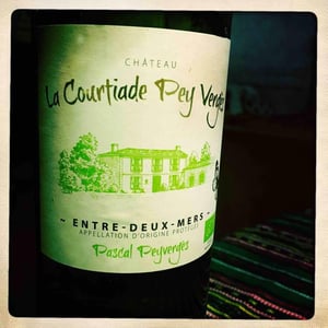 Entre-Deux-Mers - Château La Courtiade Pey Vergès - pascal-peyverges