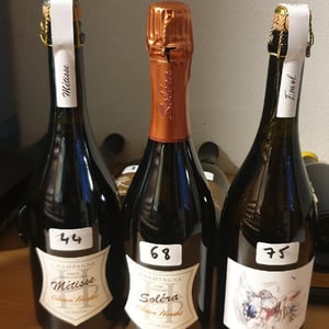 Envol - Champagne Olivier Horiot - olivier-horiot -2020