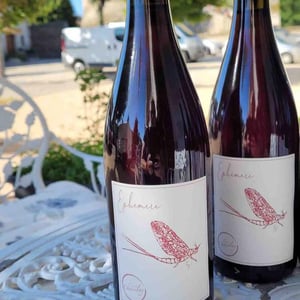Ephémère - Domaine Chasselay - claire-fabien-chasselay