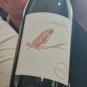 Ephémère - Domaine Chasselay - Claire & Fabien Chasselay 