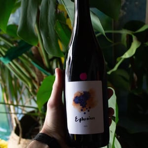 Ephraim - Sifer Wines - ephraim-orengo