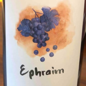 Ephraim - Sifer Wines - Ephraim Orengo 