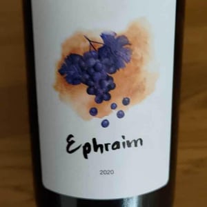 Ephraim - Sifer Wines - ephraim-orengo