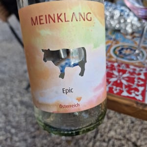 Epic - Meinklang - Weingut Michlits - angela-werner-michlits -2022