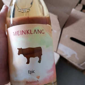 Epic - Meinklang - Weingut Michlits - angela-werner-michlits -2022