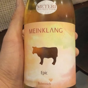 Epic - Meinklang - Weingut Michlits - angela-werner-michlits -2022