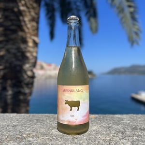 Epic - Meinklang - Weingut Michlits - angela-werner-michlits -2022