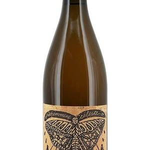 Epiphenomene Celeste - La Cave Des Nomades - jose-carvalho-paulina-srzednicka